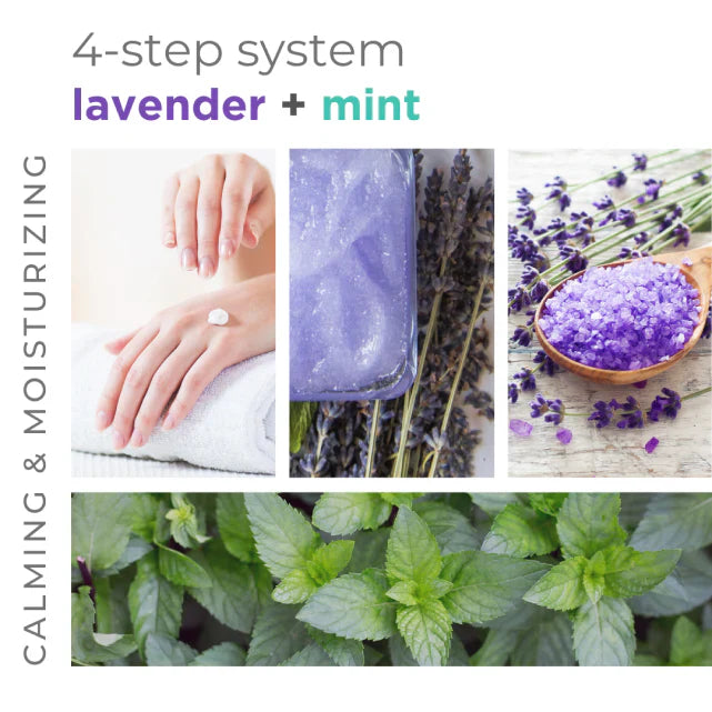 BCL -  Calming Lavender + Mint Moisture Mask