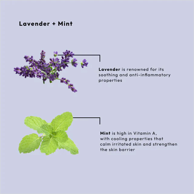 BCL -  Calming Lavender + Mint Moisture Mask